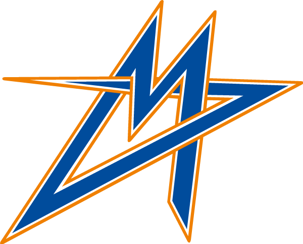 Logo_metrostars