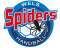 Spider%20wels%20-%20logo